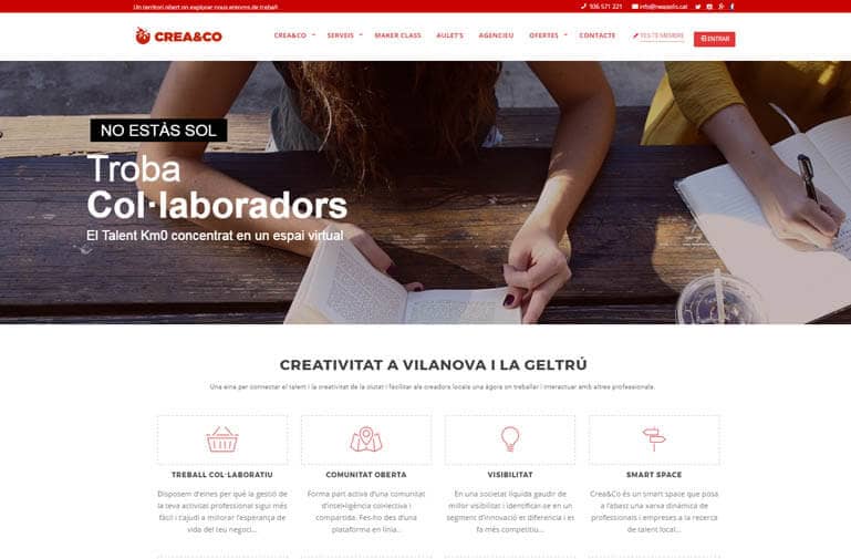 diseño web vilanpva crean and co